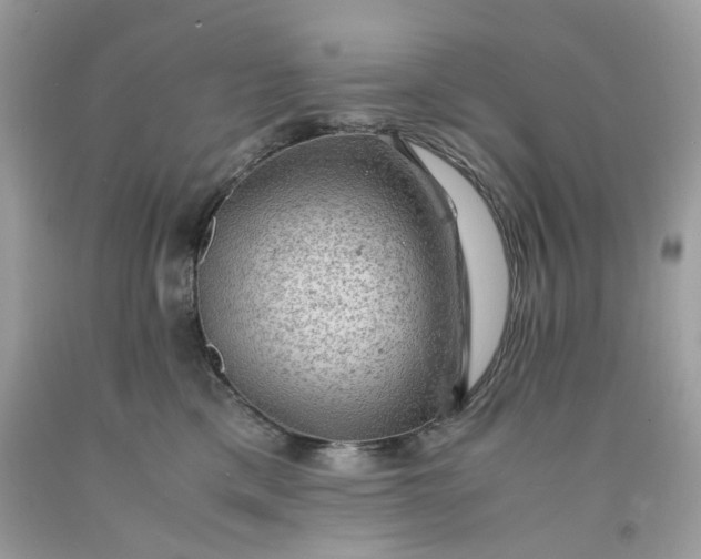 X0000091650425200709061003