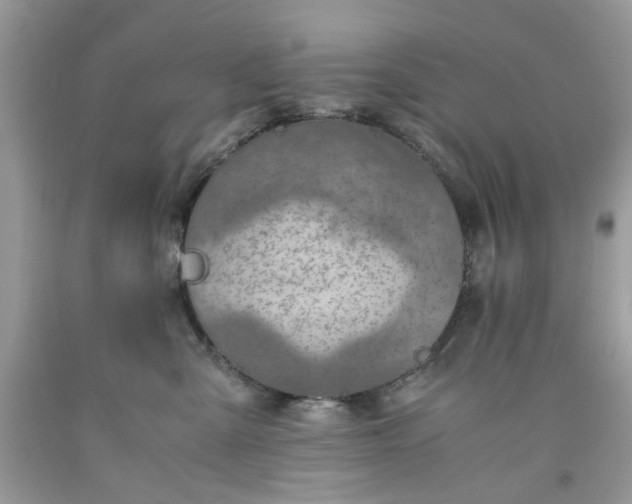 X0000091650427200709061003