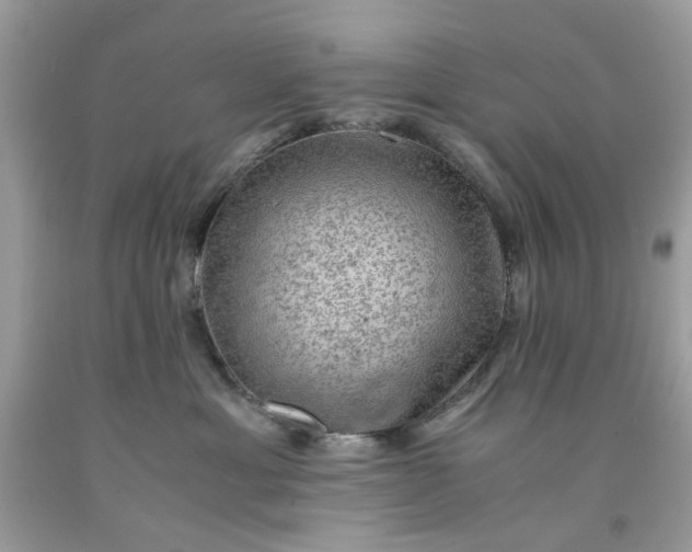 X0000091650429200709061003