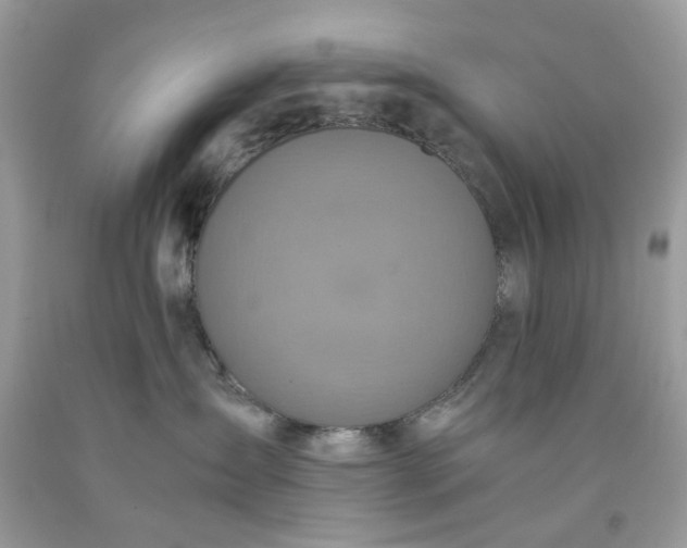 X0000091650431200709061003