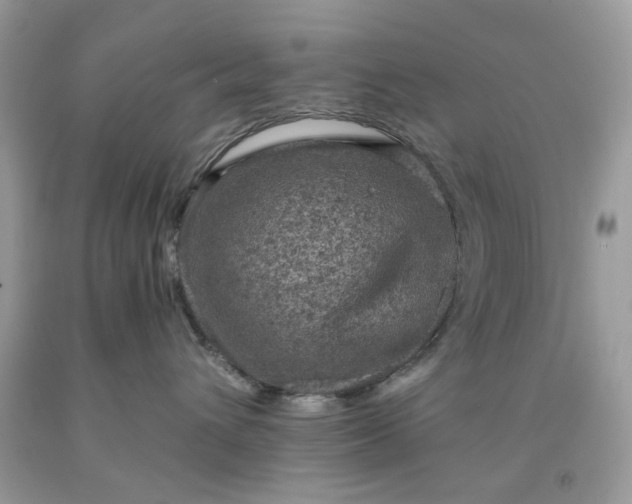 X0000091650432200709061003