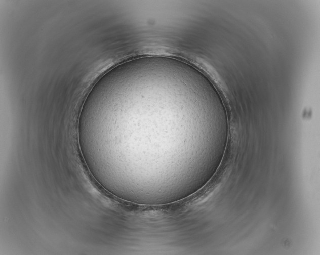 X0000091650433200709061002