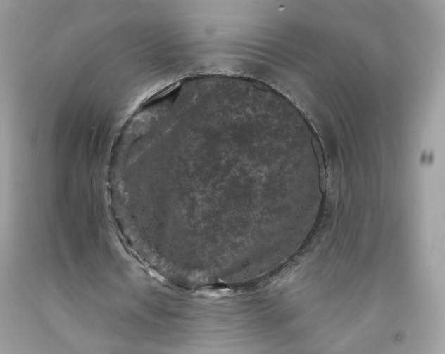 X0000091650434200709061002