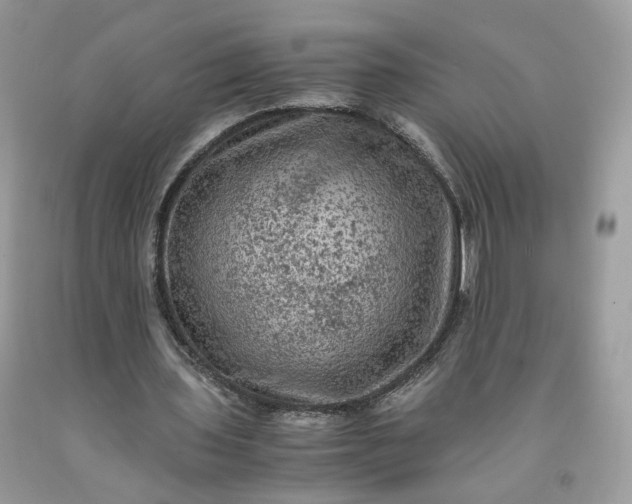 X0000091650435200709061002