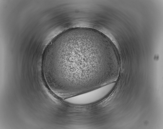 X0000091650437200709061002