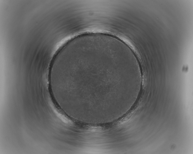 X0000091650438200709061002