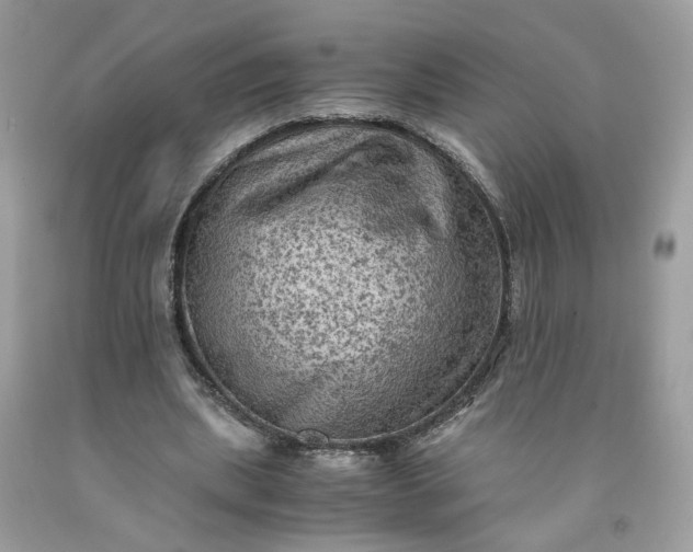 X0000091650439200709061002