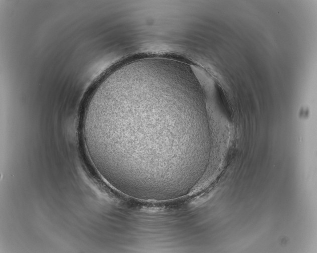 X0000091650440200709061002