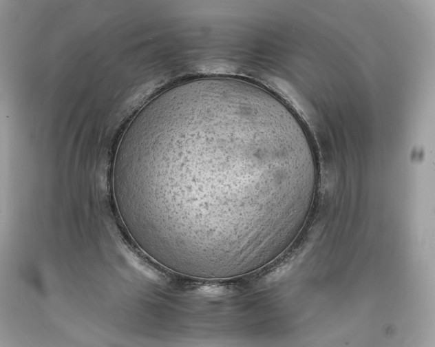 X0000091650441200709061002