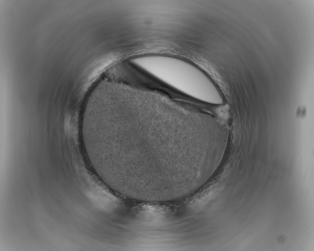 X0000091650442200709061002