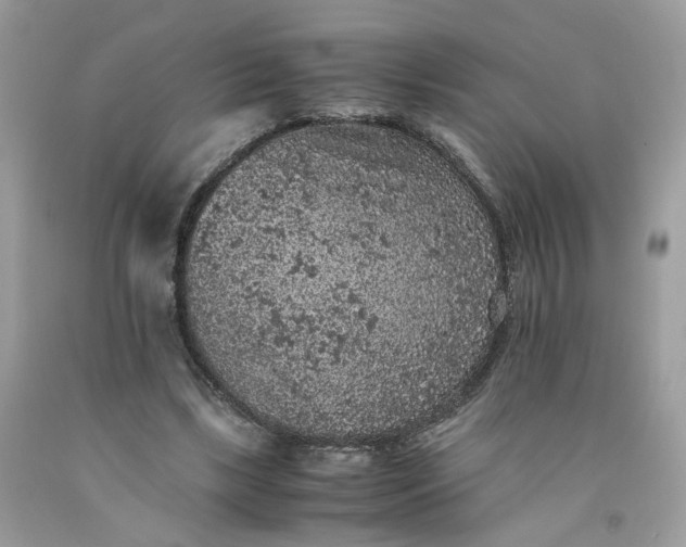 X0000091650443200709061002