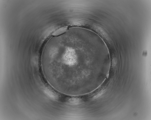 X0000091650444200709061002