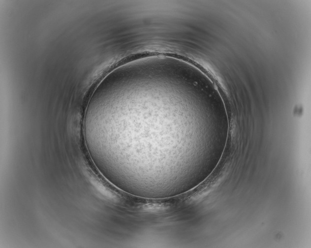 X0000091650445200709061002