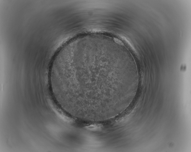 X0000091650447200709061002