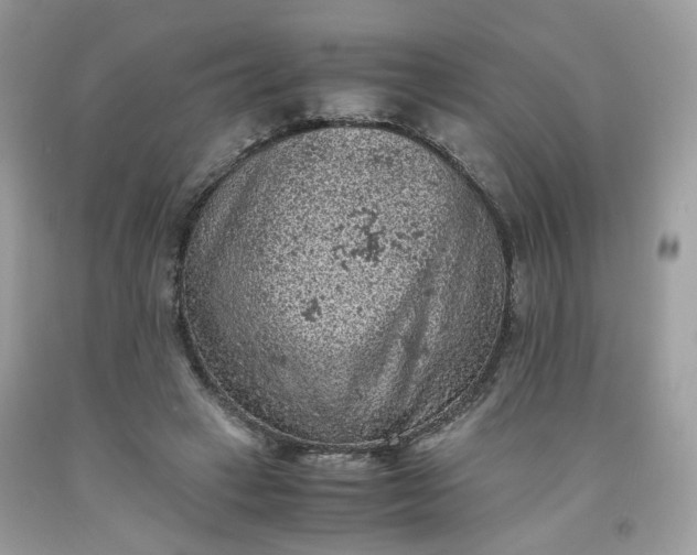 X0000091650449200709061002