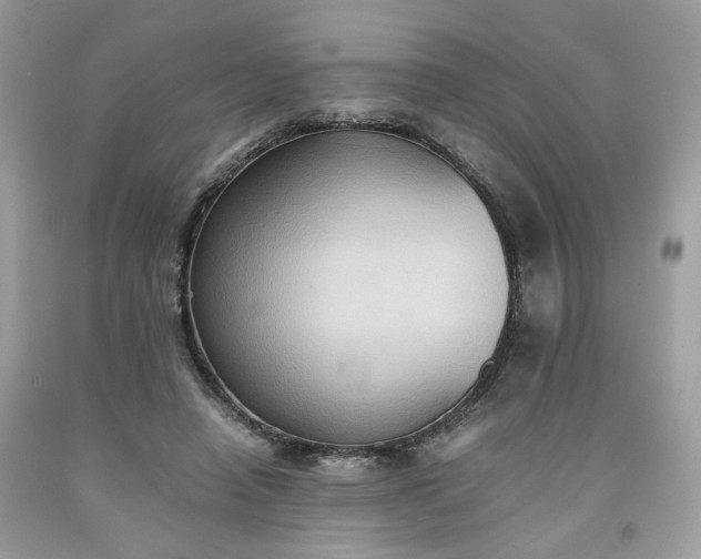 X0000091650450200709061002