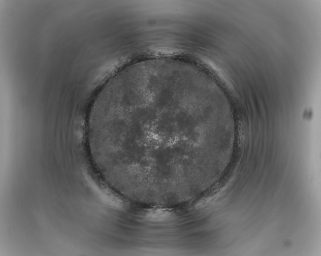 X0000091650451200709061002