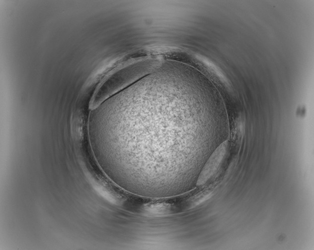 X0000091650452200709061002