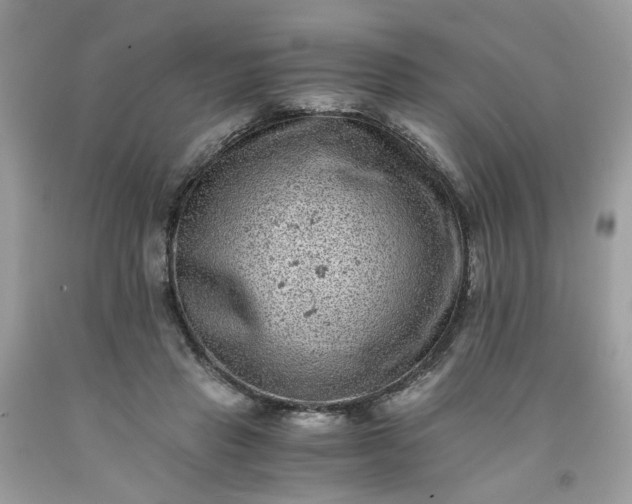 X0000091650453200709061002