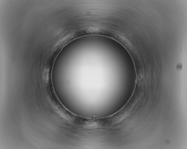 X0000091650454200709061002