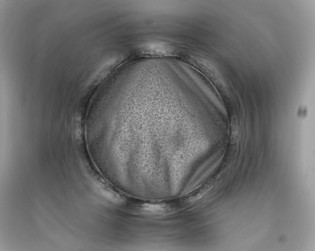 X0000091650457200709061002