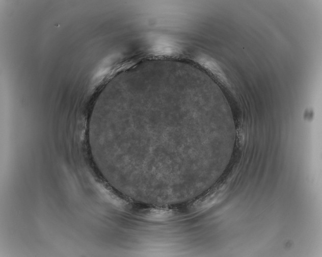 X0000091650458200709061002