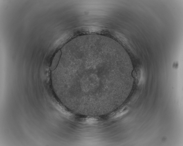 X0000091650462200709061002