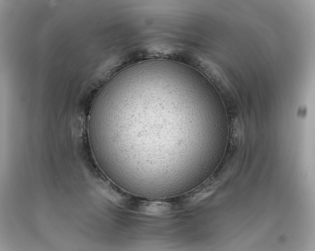 X0000091650463200709061002