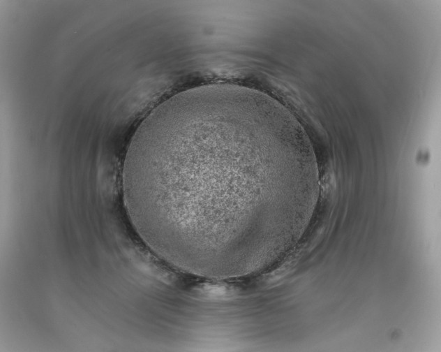 X0000091650464200709061002