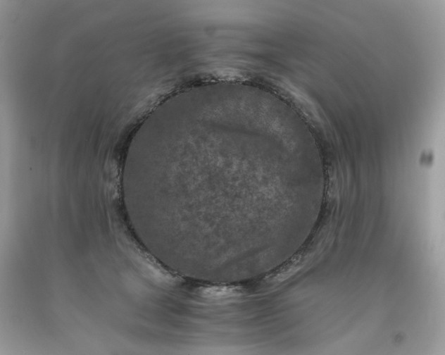 X0000091650465200709061002