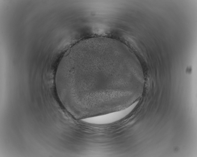 X0000091650466200709061002