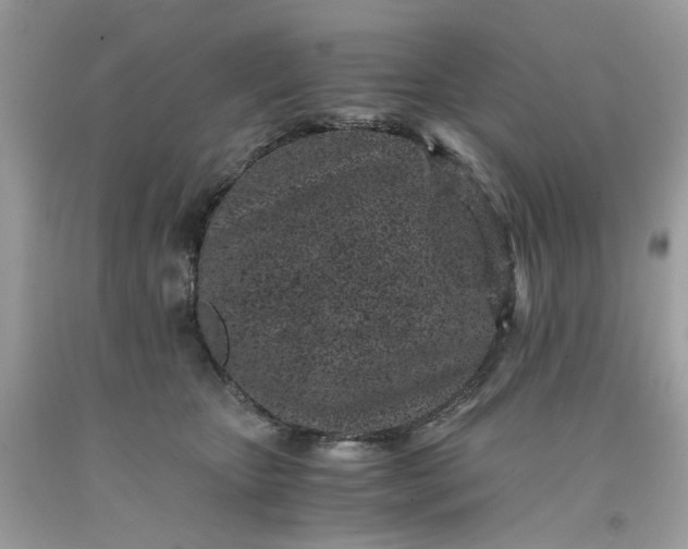 X0000091650467200709061002