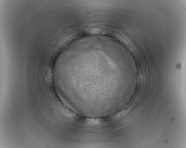 X0000091650469200709061002