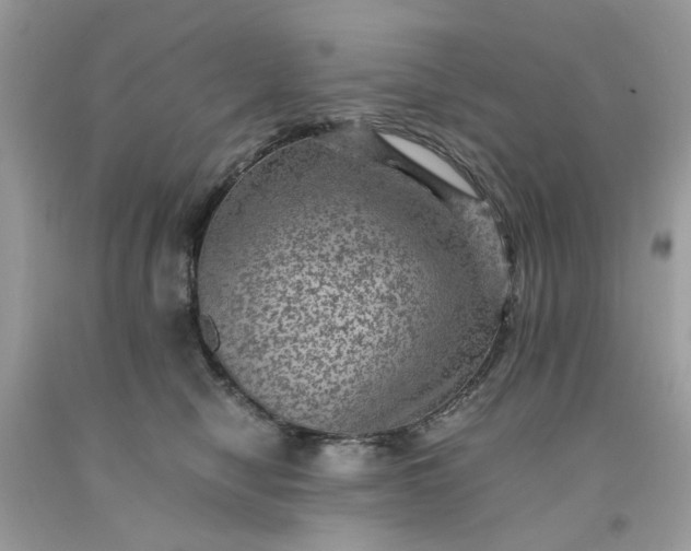 X0000091650470200709061002