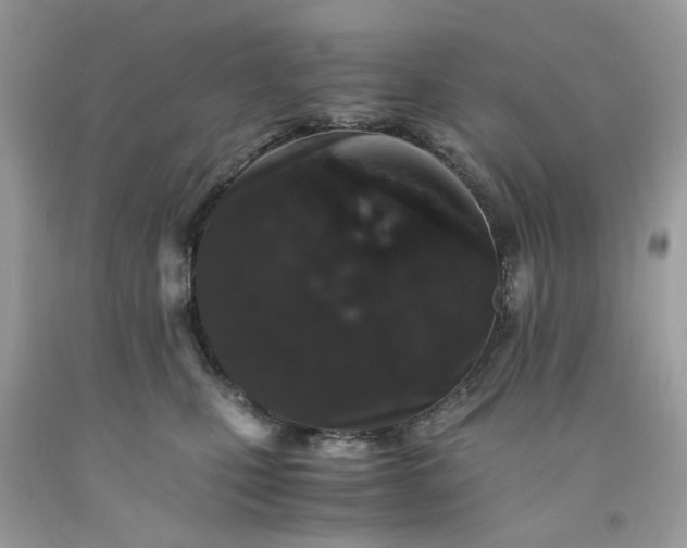 X0000091650471200709061002