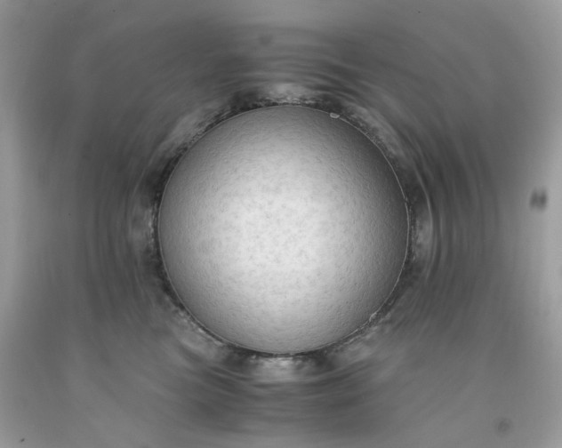 X0000091650473200709061003