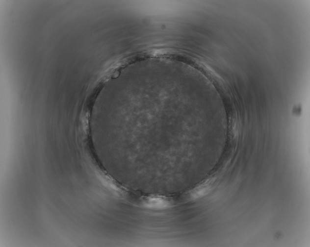 X0000091650475200709061003