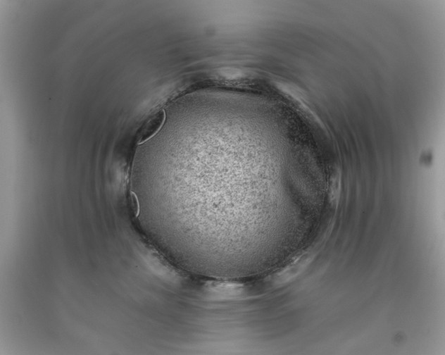 X0000091650476200709061003