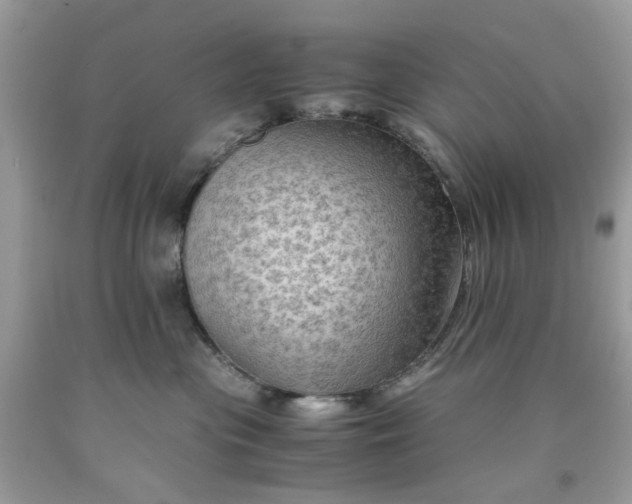 X0000091650477200709061003