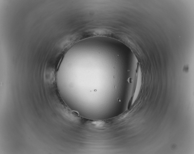 X0000091650478200709061003