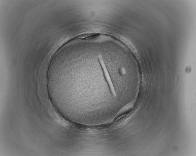 X0000091650481200709061002