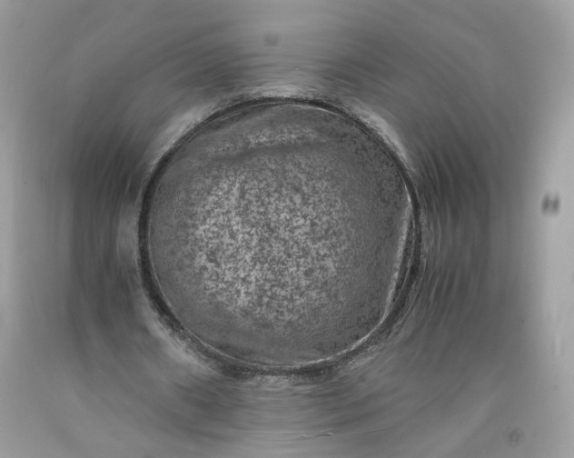 X0000091650482200709061002