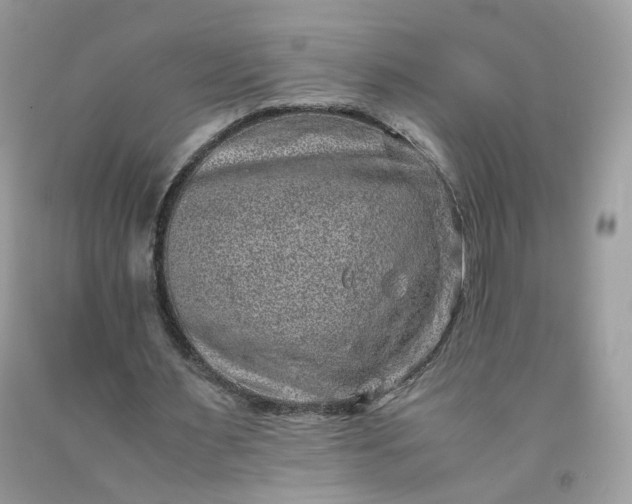 X0000091650483200709061002