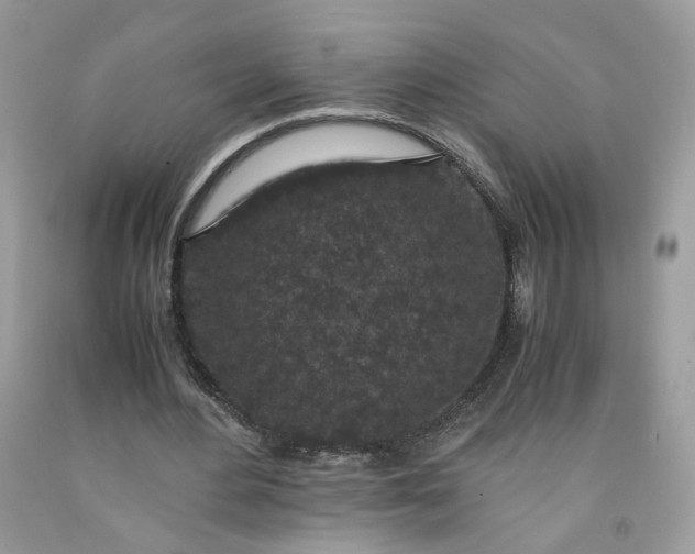 X0000091650484200709061002