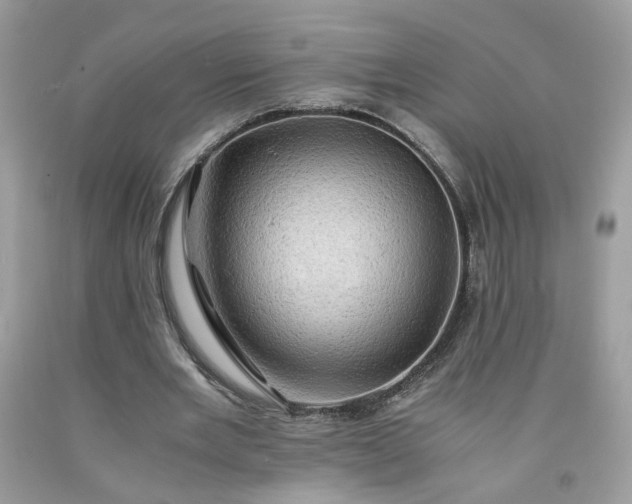 X0000091650485200709061002