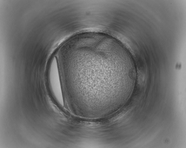 X0000091650486200709061002