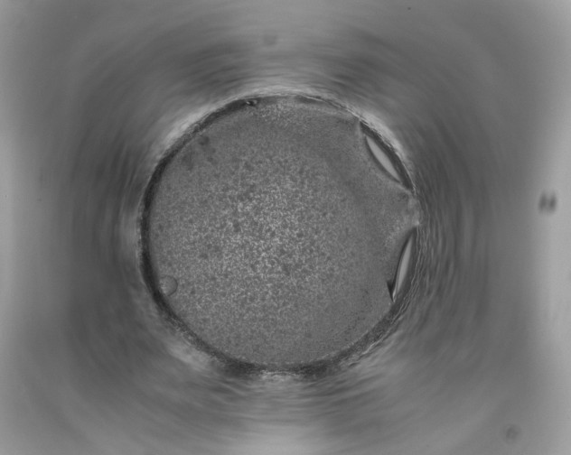 X0000091650487200709061002