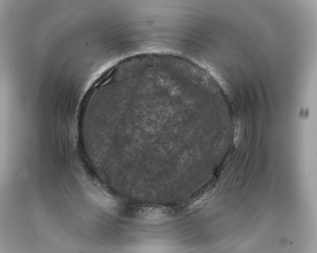 X0000091650488200709061002