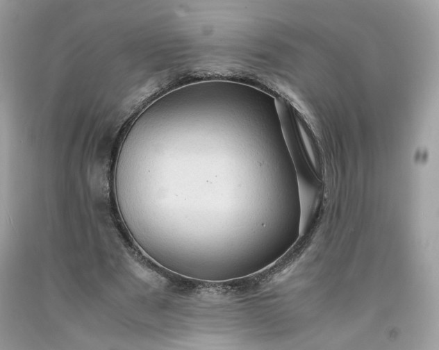 X0000091650489200709061002