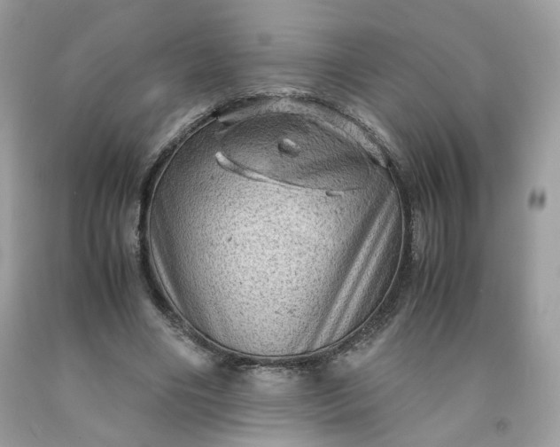 X0000091650490200709061002